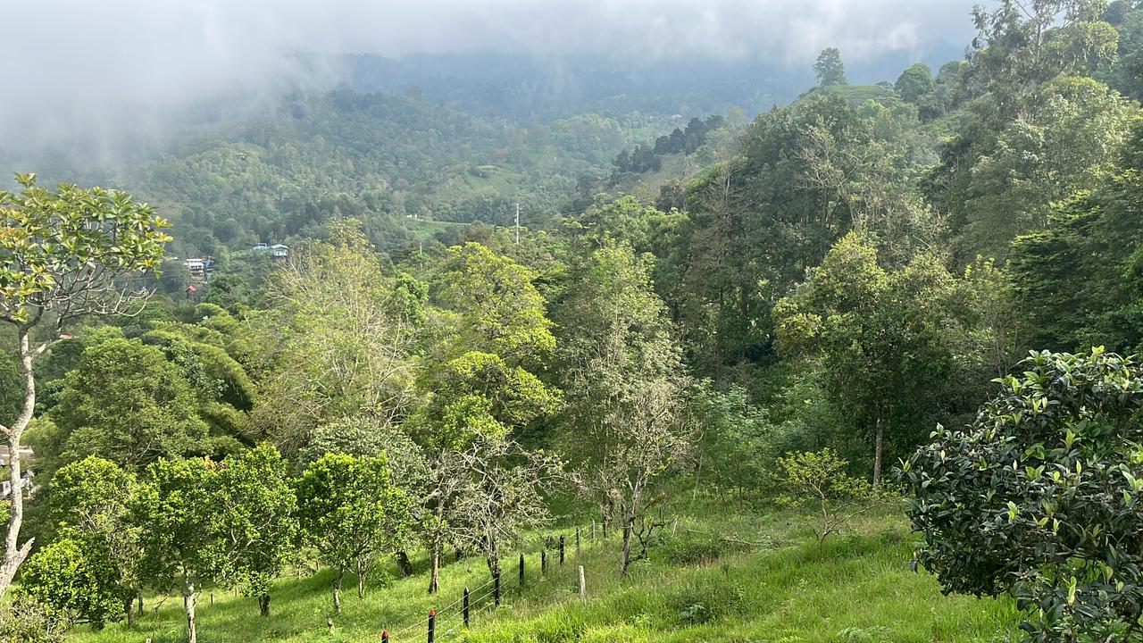 Vista panorámica